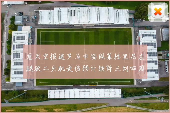 意天空报道罗马中场佩莱格里尼左腿股二头肌受伤预计缺阵三到四周