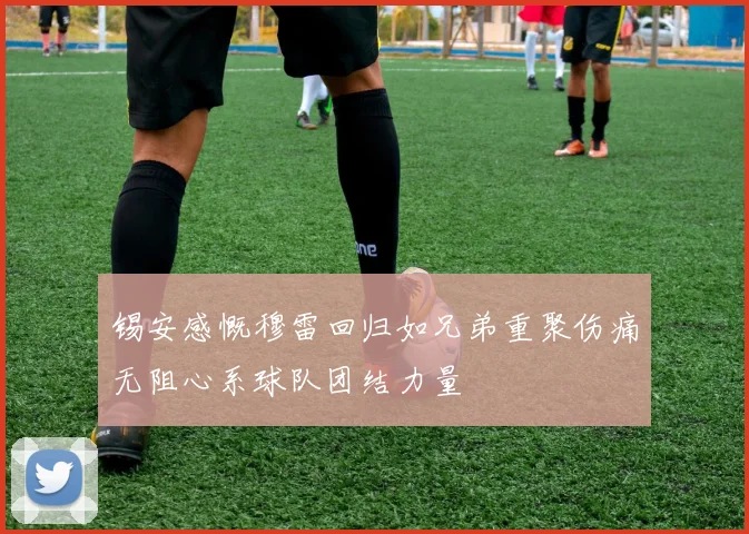 锡安感慨穆雷回归如兄弟重聚伤痛无阻心系球队团结力量