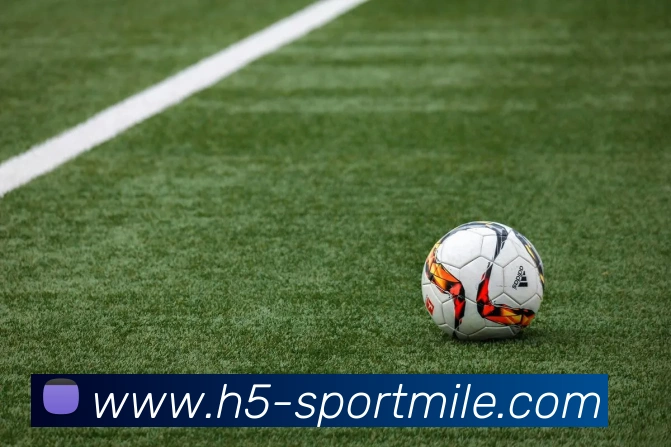 米乐体育平台生态图