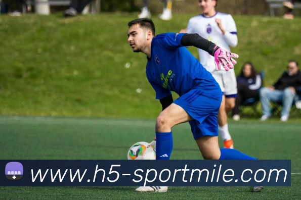 米乐体育全站App